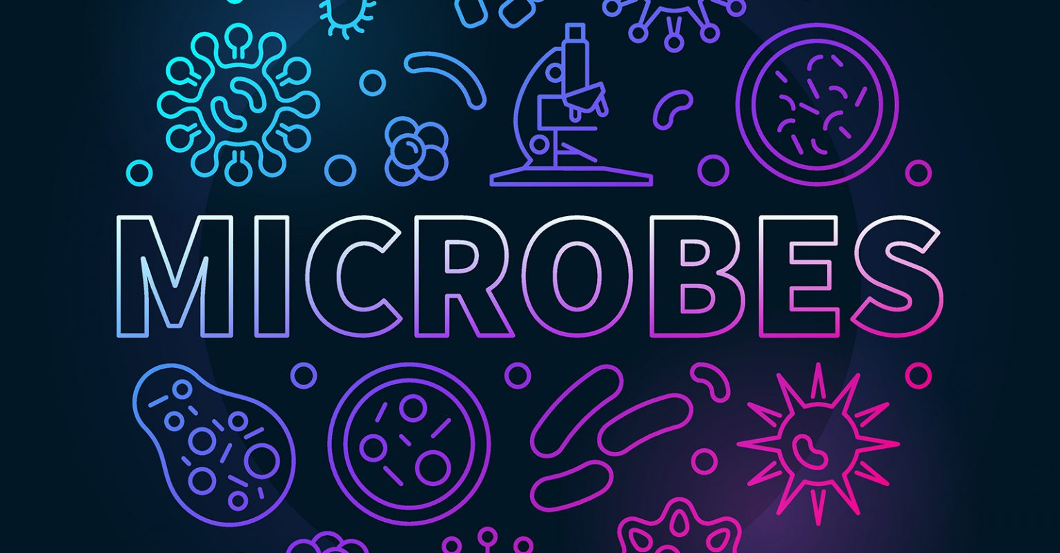 thinkgeek microbes