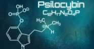 2021 psilocybin study