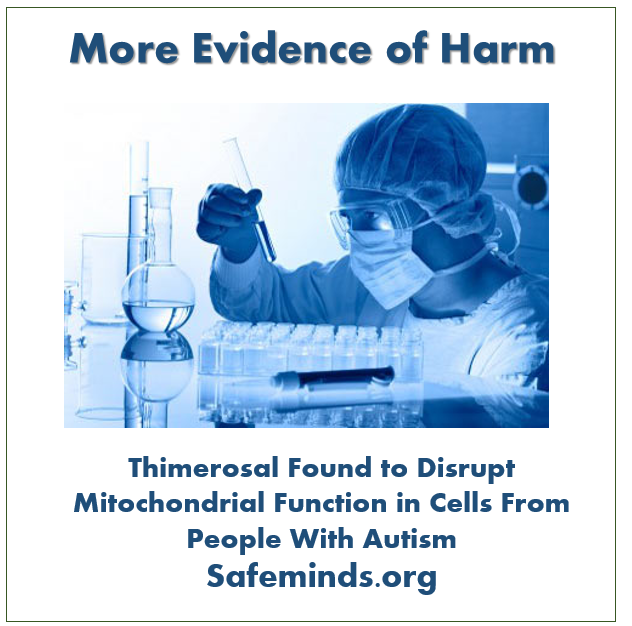 Thimerosal Found to Disrupt Mitochondrial Function in Cells From People With Autism