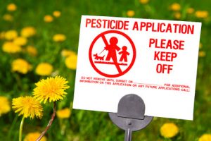 healthy-vegetarian-pesticides-autism1